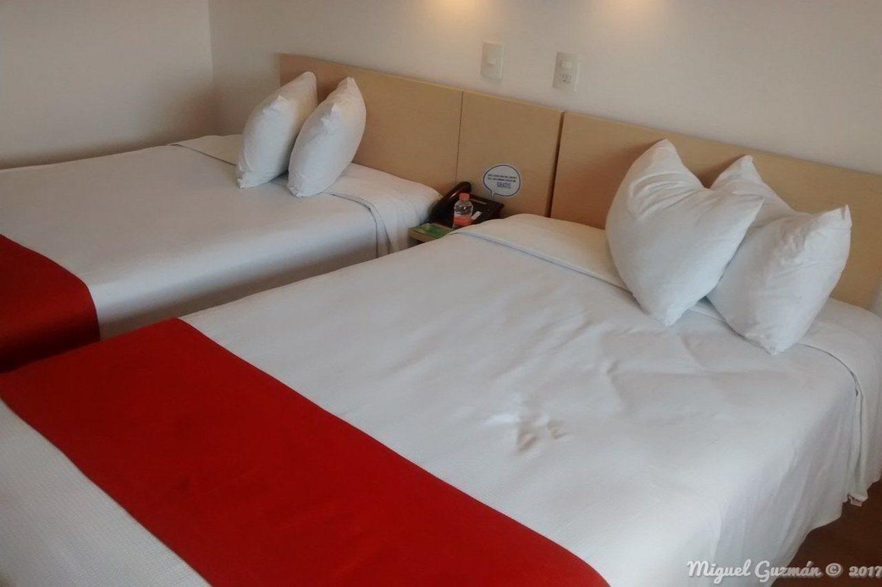 One Ciudad De Mexico Patriotismo Hotel Bagian luar foto